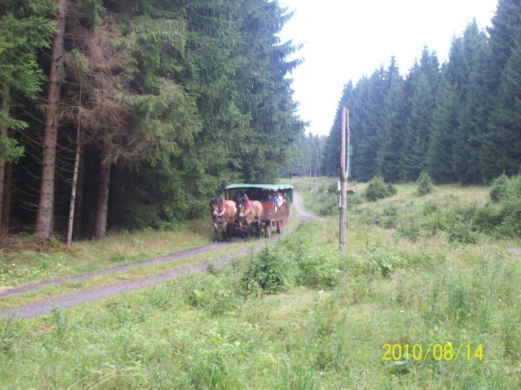 Hotel Burghof Oberweißbach Camera foto